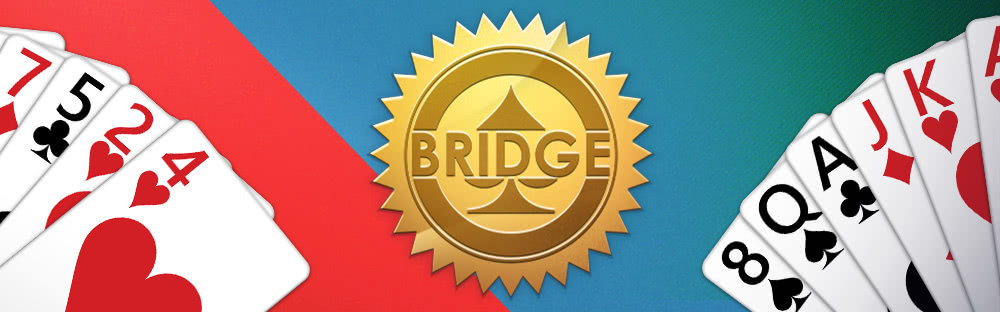 Learn Bridge Online